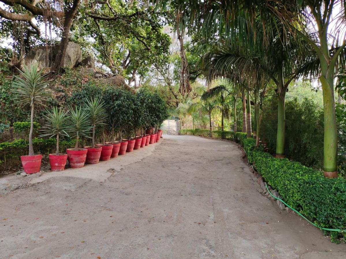 Rose Cottage - A Heritage Retreat Mount Abu Exterior foto