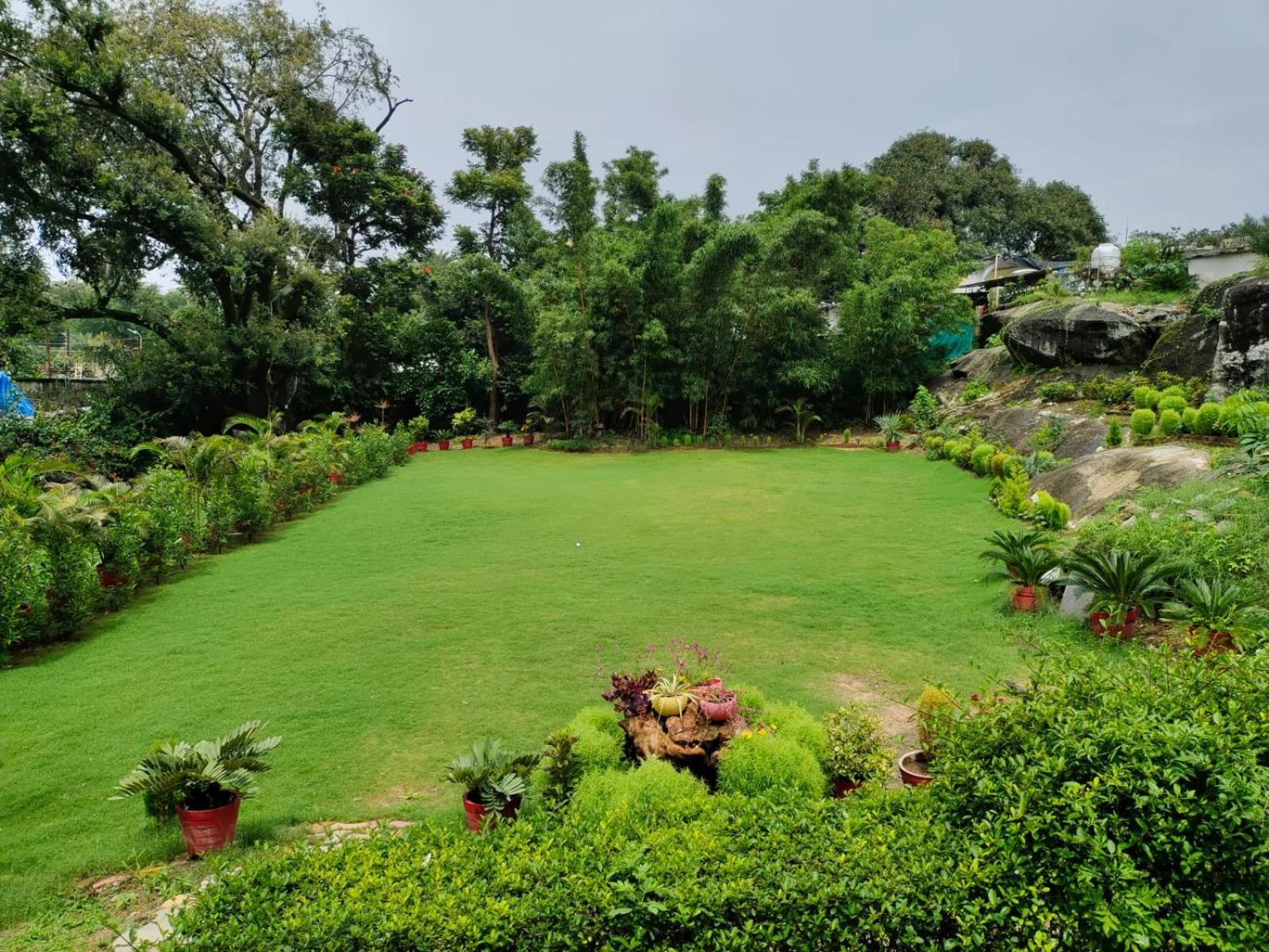 Rose Cottage - A Heritage Retreat Mount Abu Exterior foto